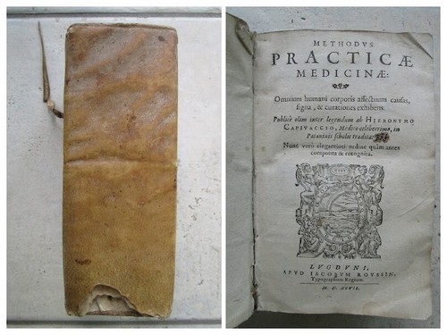 Capo vacca methodus - di,