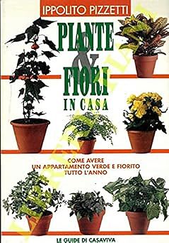 Piante fiori in - piante,