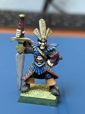 Warhammer Elfo Oscuro Eroe Capitano Metallo Ben Dipinto Marauder Miniatures drow