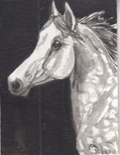 Carta artistica acquerello