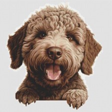 Lagotto Romagnolo Cucciolo