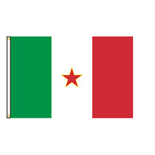 Bandiera delle Brigate