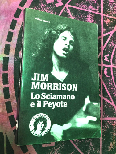 Libro jim morrison - libro, sciamano