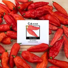 10 semi di peperoncino - Bhut