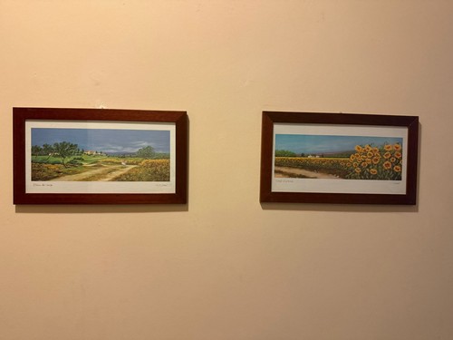 Campi girasoli ritorno - campi, di