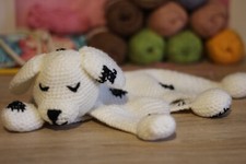 Copertina DouDou cagnolino |