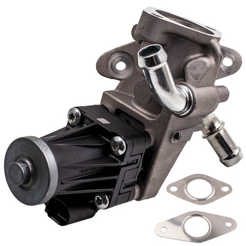 Valvola egr guarnizione - egr,