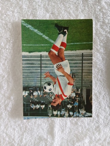 Fotocartolina calciatore gori - calciatore,