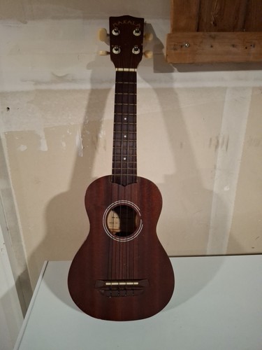 Ukulele makala - ukulele,