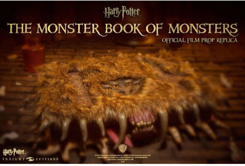 Harry potter libro - potter,