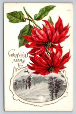 Cartolina natale poinsettia - cartolina,