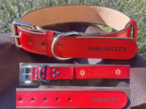 Collare rosso per cane - rosso,