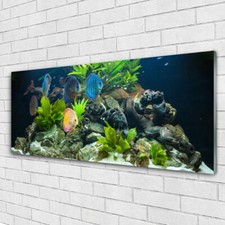 Immagine Arte da Parete Vetro Tempereto 125x50 Pesce Pietre Foglie Natura