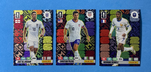Panini adrenalyn world cup - world,