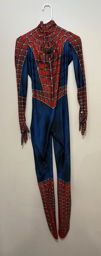 Adult large spider - large, spider-man