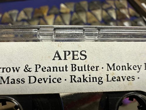 1993 apes demo rock cassettes - apes,