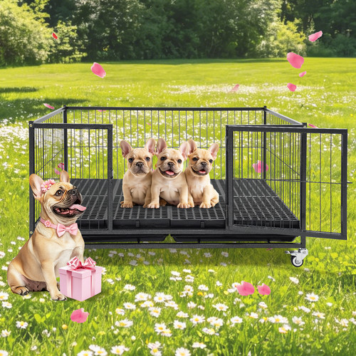 Homey pet casetta per cuccioli - homey,