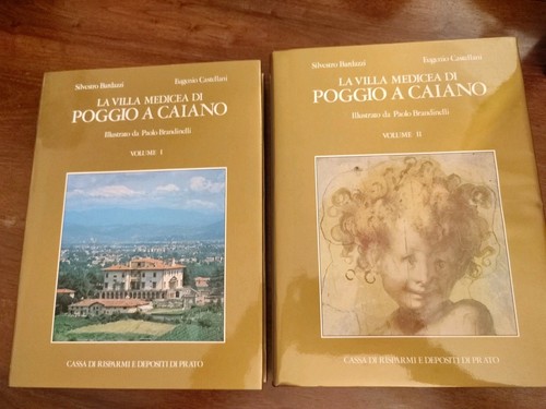 Bardazzi castellani la - castellani,
