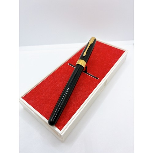 Penna stilografica parker - stilografica,
