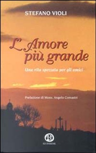 Libro stefano violi - violi, l'