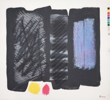 Ennio Finzi, opera unica