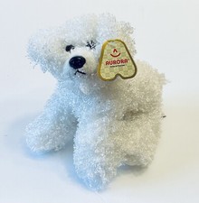 Aurora bianco maltese - bianco, bichon