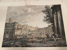 IL CAMPO VACCINO - INCISIONE