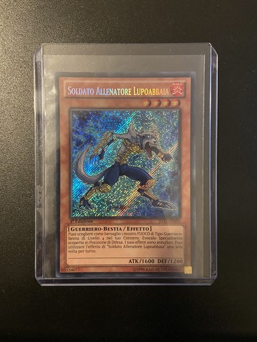 Soldato allenatore - yu-gi-oh! soldato,