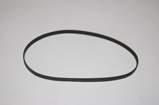 Cinghia cinghia trasmissione