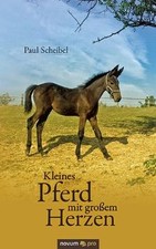 Kleines Pferd mit großem