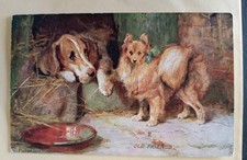 Dog Postcard, Artist Drawn