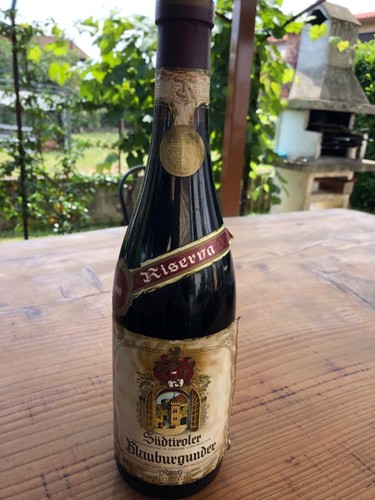 Blauburgunder vino rosso - blauburgunder,