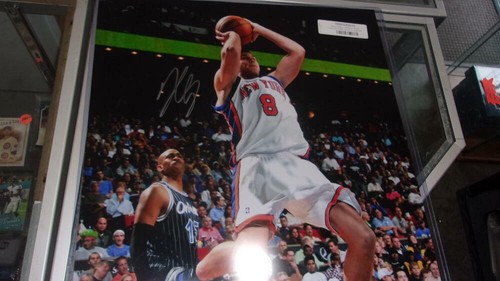Danilo gallinari new york - gallinari,