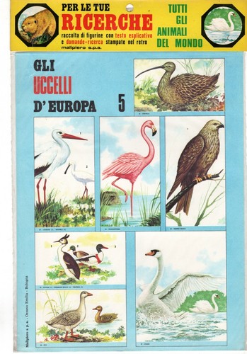 Set figurine blister animali - set,