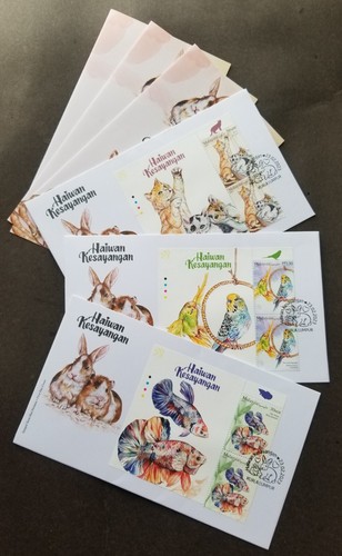 Malaysia pets 2023 coniglio - malaysia,