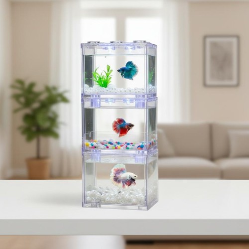 Acquario mini acquario