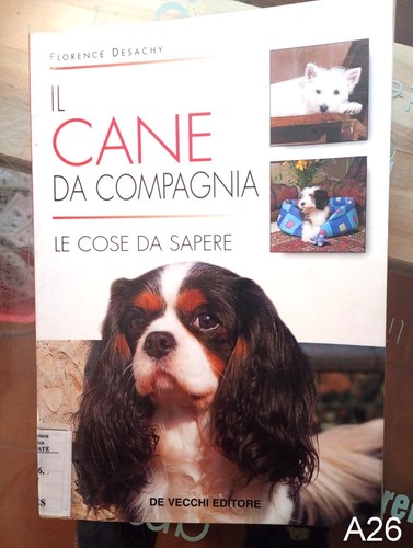 Cane compagnia di - il,