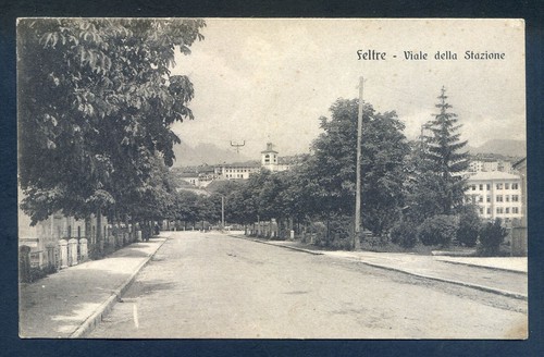 F661 cartolina feltre viale - f661,