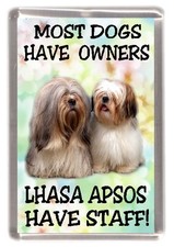 Calamita frigo per cani Lhasa Apso (1) "La maggior parte dei cani ha proprietari Lhasa Apsos ha personale" 