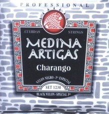 Medina Artigas Charango