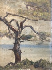 Bella Pittura Olio Pannello