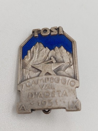 Medaglia distintivo alpino - medaglia,