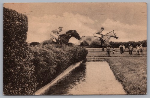 Belmont park steeplechasers - belmont,