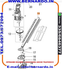 K43220097R TAGLIASIEPI OLEO