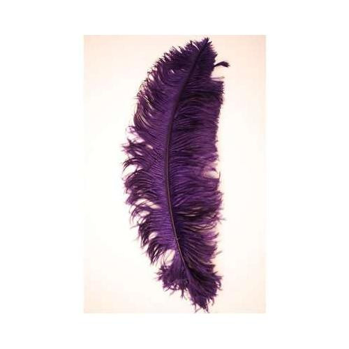 Piuma struzzo colore viola - di,