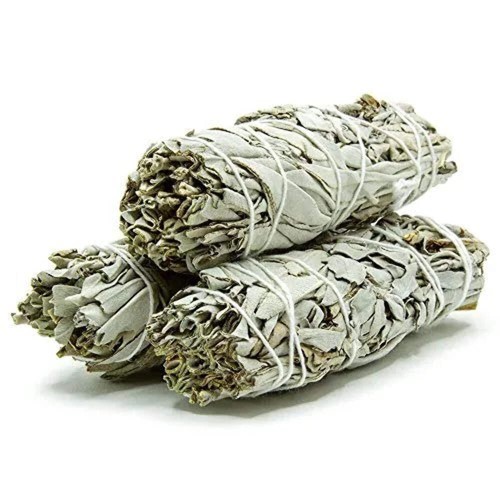 Sage bundle - sage,