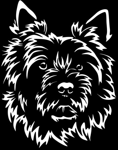 Adesivo cairn terrier - adesivo,
