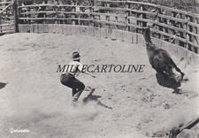 GROSSETO:  Vecchia Maremma - Buttero e cavallo   1959