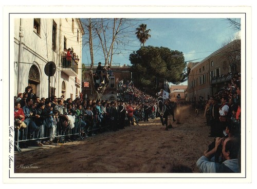 Cartolina sartiglia oristano - cartolina,