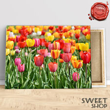 QUADRO MODERNO TULIPANI TULIP  Stampa su tela Canvas ARREDO QUALITA' ARTE